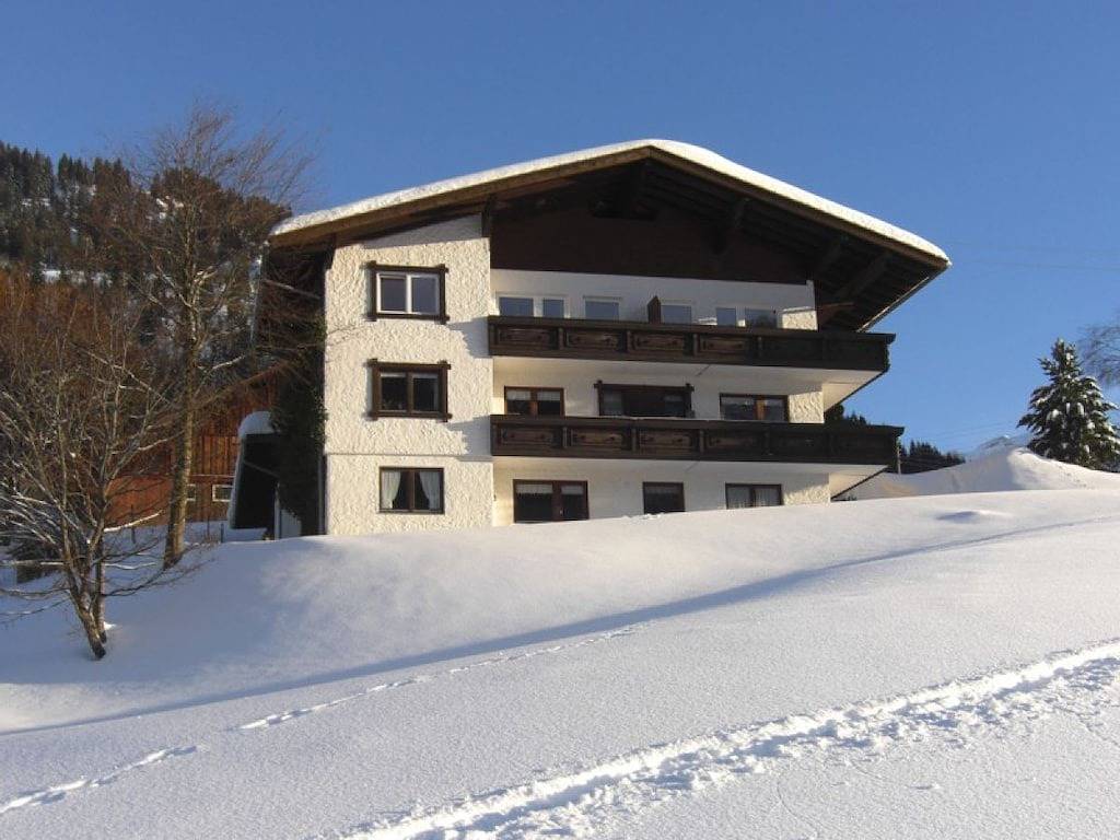 Birke im Hoefle in Mittelberg, Kleinwalsertal