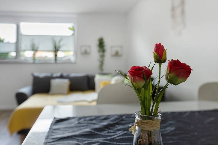 Entire apartment, Apartment 'Casa Simona' for 5 Guests with Wi-Fi in Orsingen-Nenzingen, Schwäbische Alb Radweg Region
