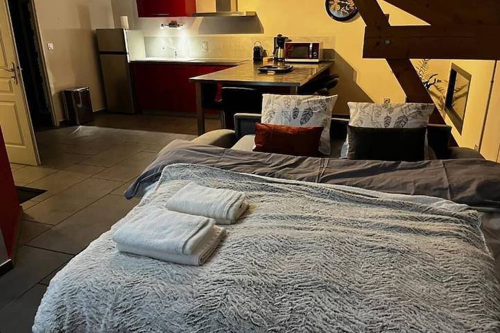 Gîte pour 4 personnes, animaux acceptés à Massieu (Isère)