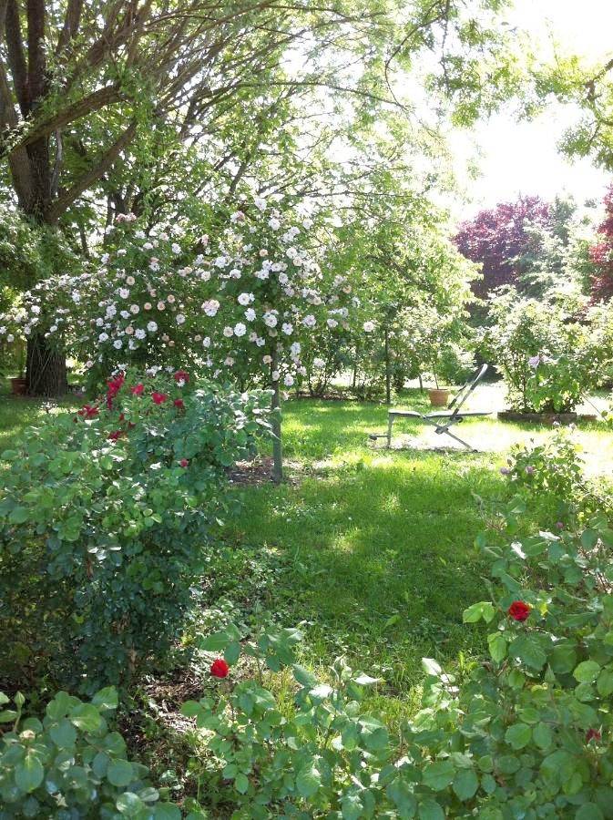 Location de vacances pour 4 personnes, avec Jardin et Vue à Soliera