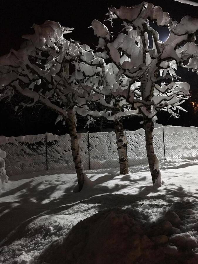 Location de vacances pour 2 personnes, avec jardin et vue à Bernezzo - 2