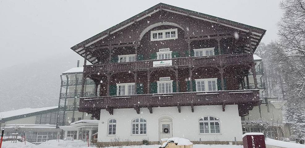 Hotel, mit Balkon/Terrasse und Balkon sowie Terrasse und Garten in Wiener Alpen in Niederösterreich - 4