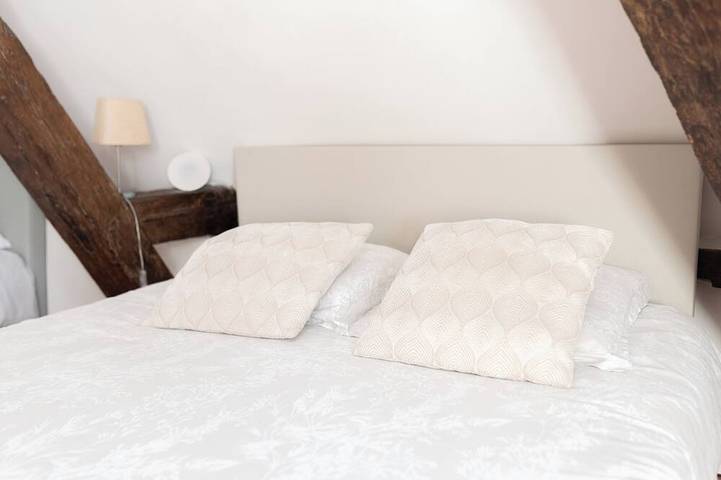 Apartamento entero, Clos St Eusèbe, Apartamento completo en el corazón de Auxerre in Auxerre, Auxerre region