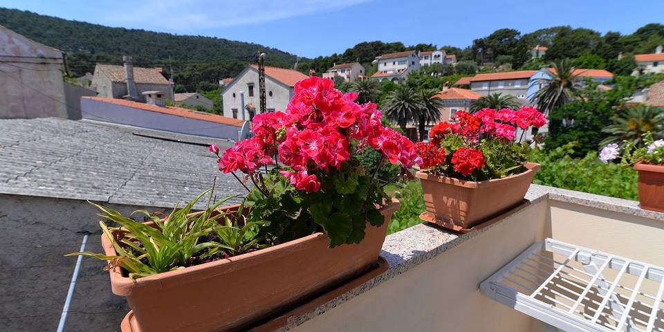Ferienwohnung für 4 Personen, mit Balkon/Terrasse - 1