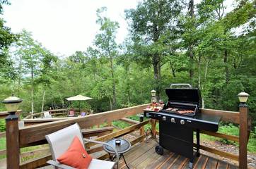 Log Cabin for 4 Guests in Stecoah, Fontana Lake, Picture 1