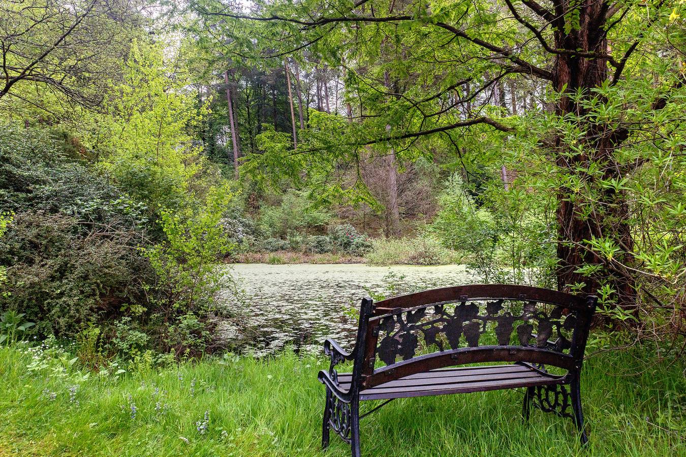 'Casa de vacaciones romántica' con jardín y Wi-Fi in Gerdau, Distrito de Uelzen