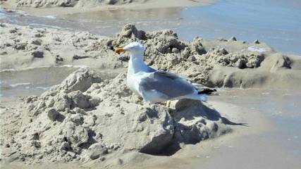 Bungalow für 4 Personen in Pepelow, Salzhaff, Bild 4