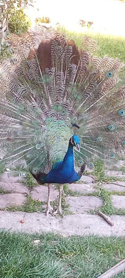 Location de vacances pour 6 personnes dans Frunce - 2