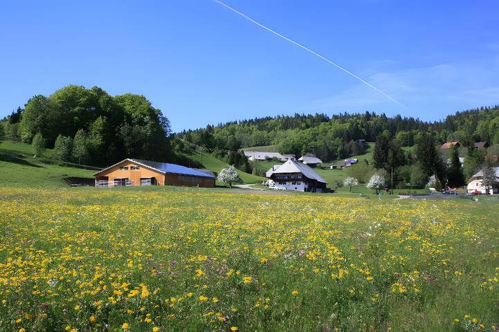 Ganze Wohnung, Ferienwohnung 'Hochtalblick' mit Bergblick, Gemeinschaftsgarten und Wi-Fi in Ibach, Südschwarzwald