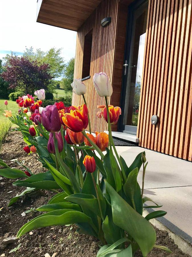 Double or Twin Room with Garden View in Francorchamps, Stavelot