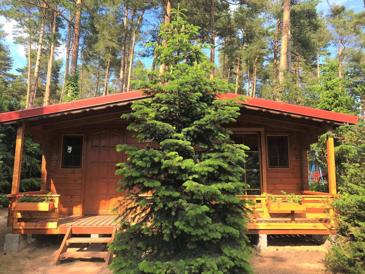 Studio with Sofa Bed in Machowinko, Baltic Sea Pomerania