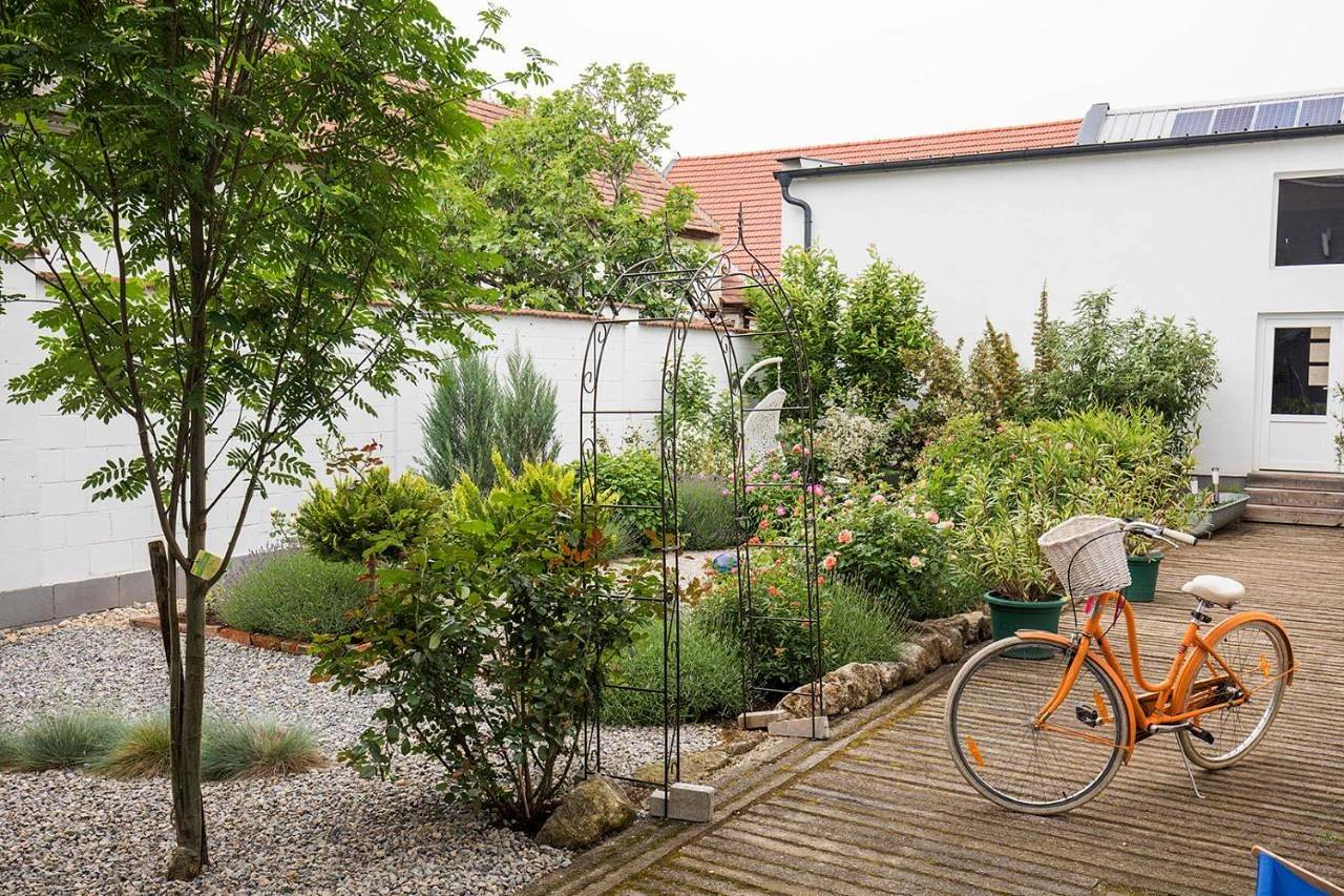 Ganze Wohnung, Weingut Gsellmann - Wohnen bei Ilse in Gols, Neusiedlersee-Hügelland
