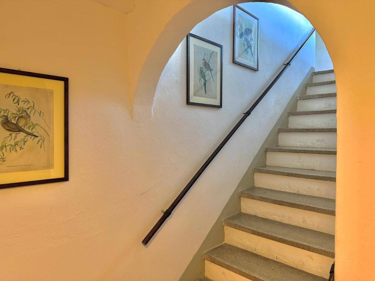 Casa Belvedere - private garden, 6pax in Bolgheri, Castagneto Carducci
