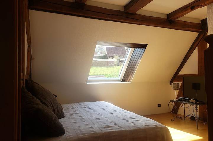 Location de vacances pour 4 personnes, avec jardin ainsi que jacuzzi et terrasse à Langensoultzbach - 2