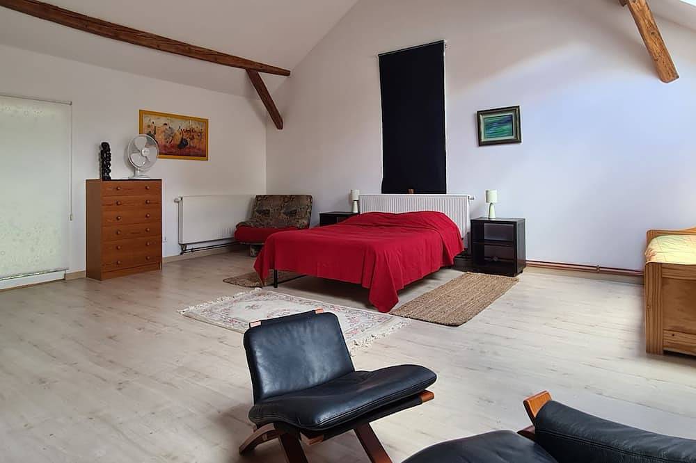 Large bright loft + bedroom in old barn on the wine route in Saint-Nabor, Bas-Rhin Alsace