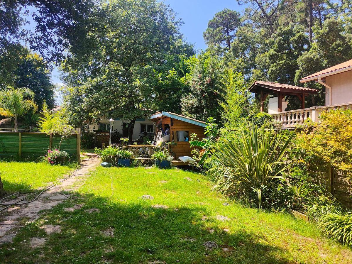 Double or Twin Room in Labenne, Côte d’Argent