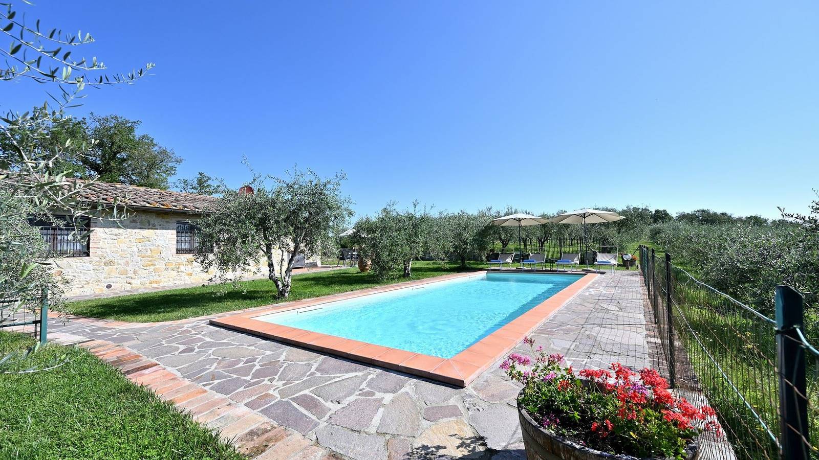 Sassolaia in Gaiole in Chianti, Chianti