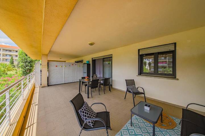 Gîte pour 4 personnes, avec terrasse, animaux acceptés dans Folelli - 3