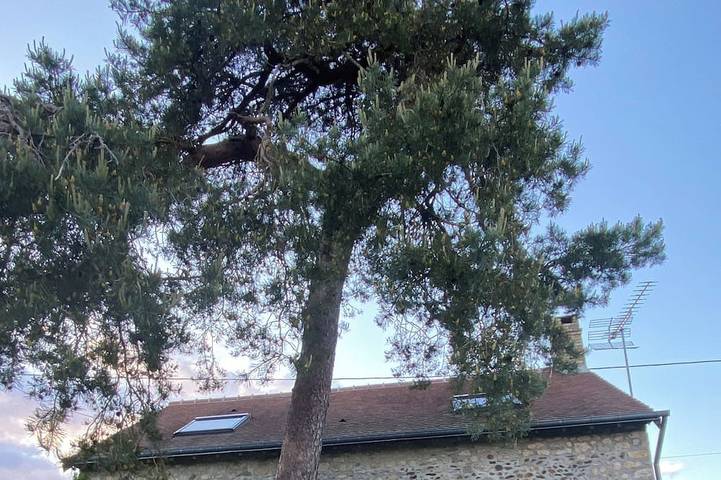 Gîte pour 5 personnes, avec jardin et terrasse dans Douillet