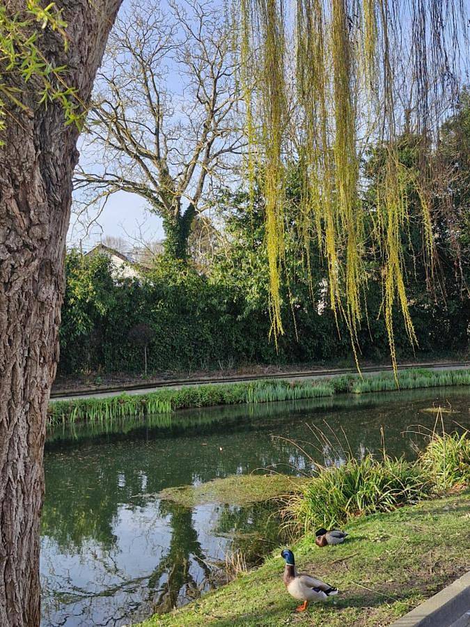 Appartement entier, One-Bedroom Apartment in Le Thillay, Val-d'Oise