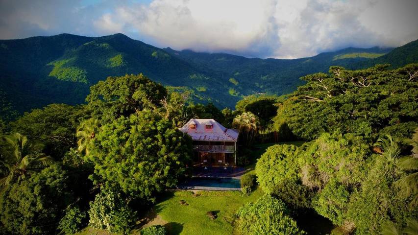 Maison d’hôte pour 2 personnes, avec piscine ainsi que vue et jardin, animaux acceptés en Guadeloupe - 4