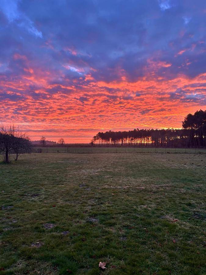 Location de vacances pour 12 personnes, avec jardin à Castets (Landes) - 2
