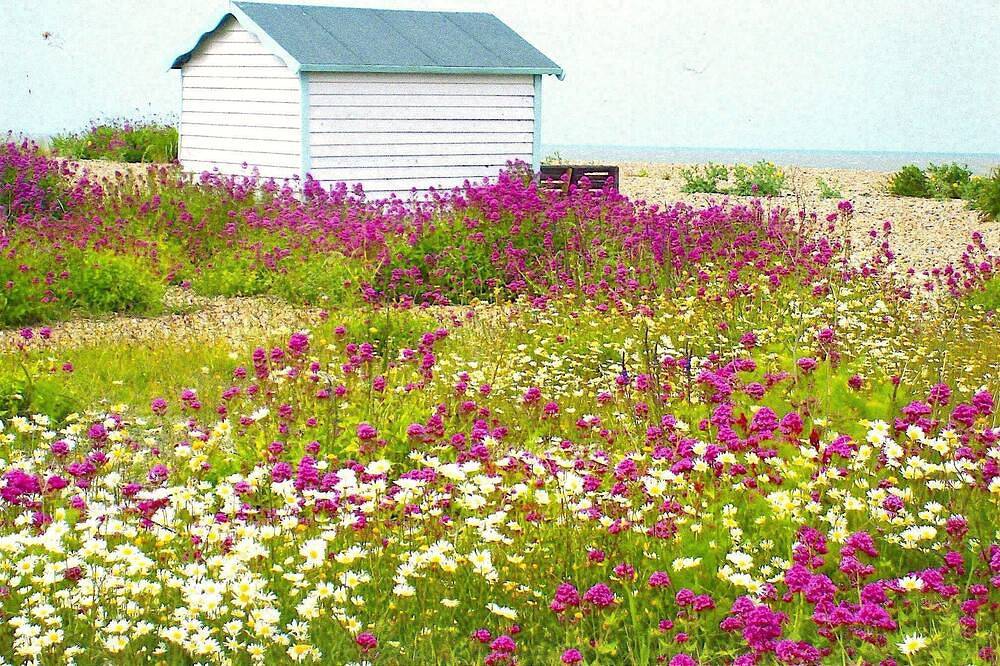 Ganze Wohnung, Idyllic coastal cottage with private beach hut - Sea Rose Cottage in Kingsdown, Kent