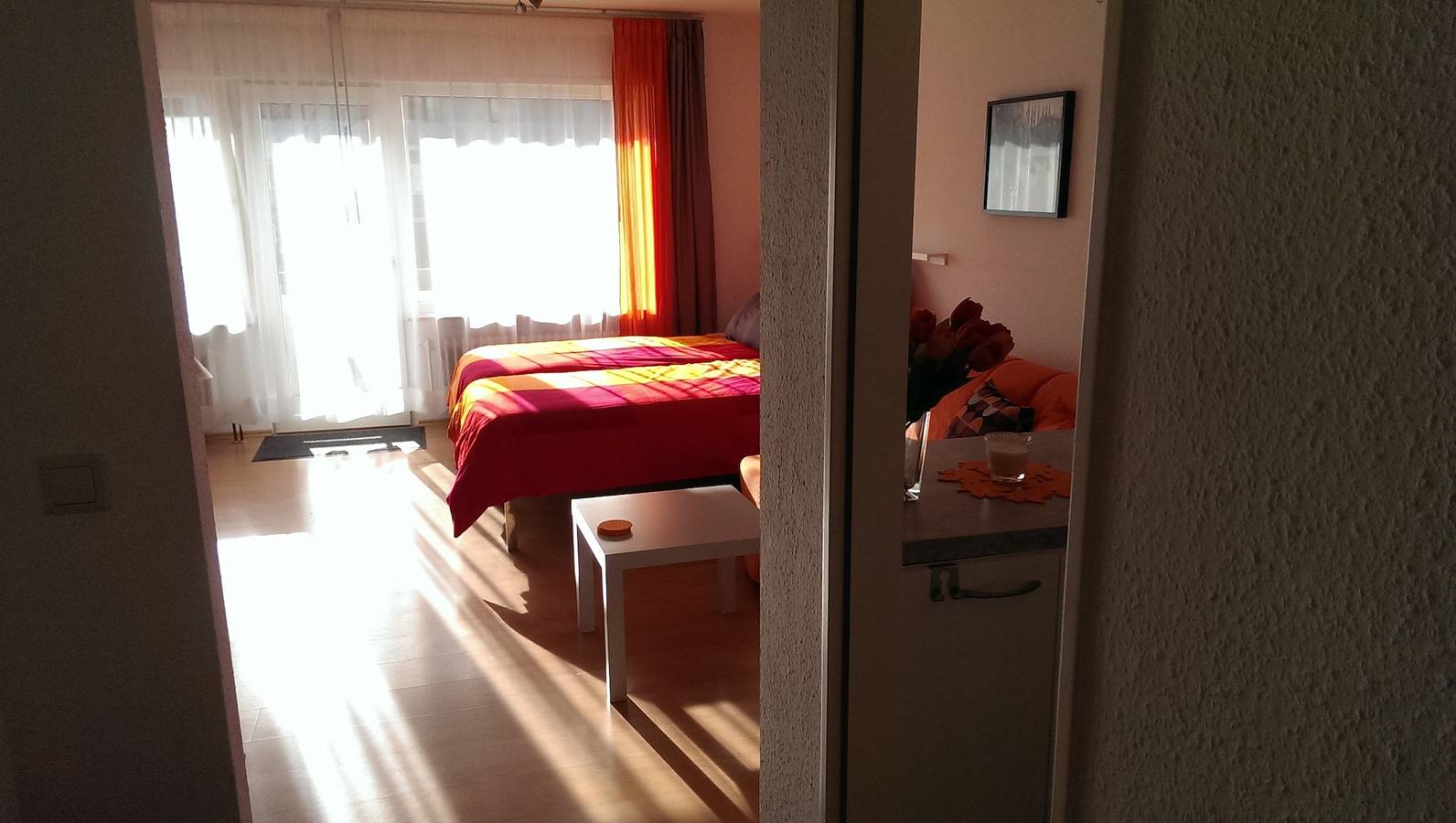 Ganzes Studio, Studio 'Falk Wohnung Nr -3-' mit Bergblick, Balkon und Wi-Fi in Freiburg, Südschwarzwald