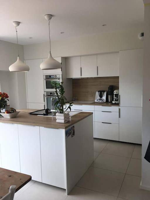 Location de vacances pour 11 personnes, avec terrasse ainsi que jardin et jacuzzi à Dijon - 4