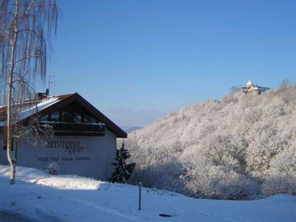 Hütte für 4 Personen, mit Balkon und Terrasse sowie Whirlpool und Garten am Edersee - 3