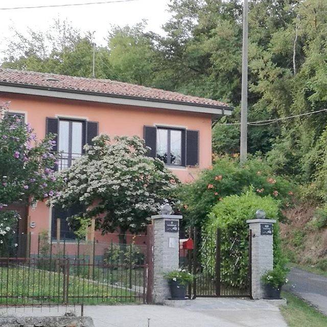 Le rose di Mapi in Mango , Langhe