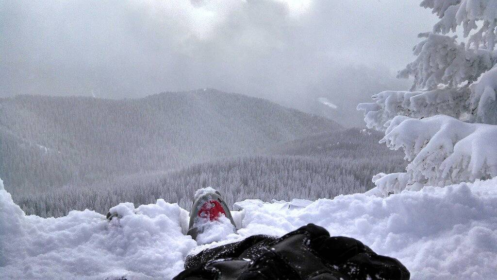 Riverfront Fun! Hintertürfischen! Haustierfreundlich!! Ansichten, Frieden & Ruhe !! in San Juan National Forest