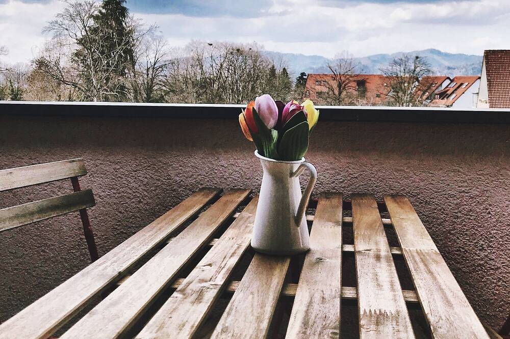 Ganze Wohnung, Maisonette-Ferienwohnung in der Fußgängerzone von Kirchzarten in Suedlicher Schwarzwald, Kirchzarten