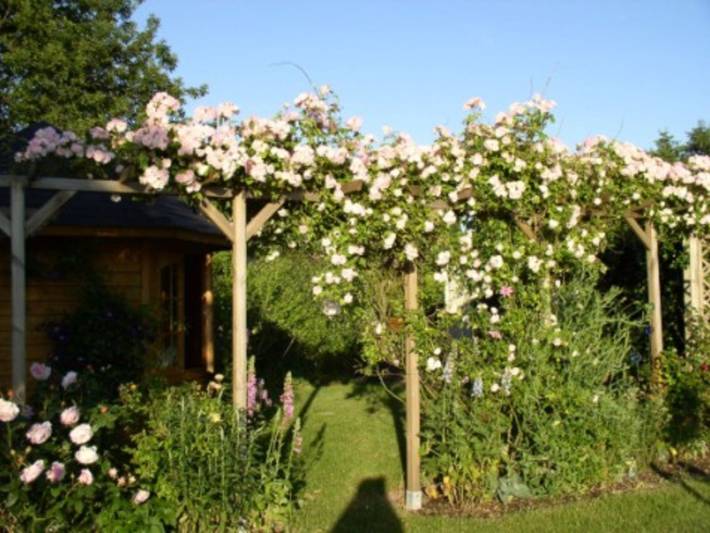 Ferienhaus für 5 Personen, mit Terrasse und Garten in Hasselberg - 4