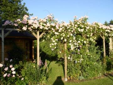 Ferienhaus für 5 Personen in Hasselberg, Schleswig-Flensburg, Bild 3