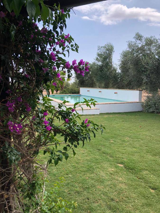 Casa rural para 18 personas, con piscina además de vistas y jardín, Familias con niños en Sierra Sur de Sevilla - 3