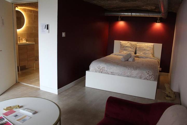 Gîte pour 2 personnes, avec terrasse à Saint-Étienne-de-Chigny - 4