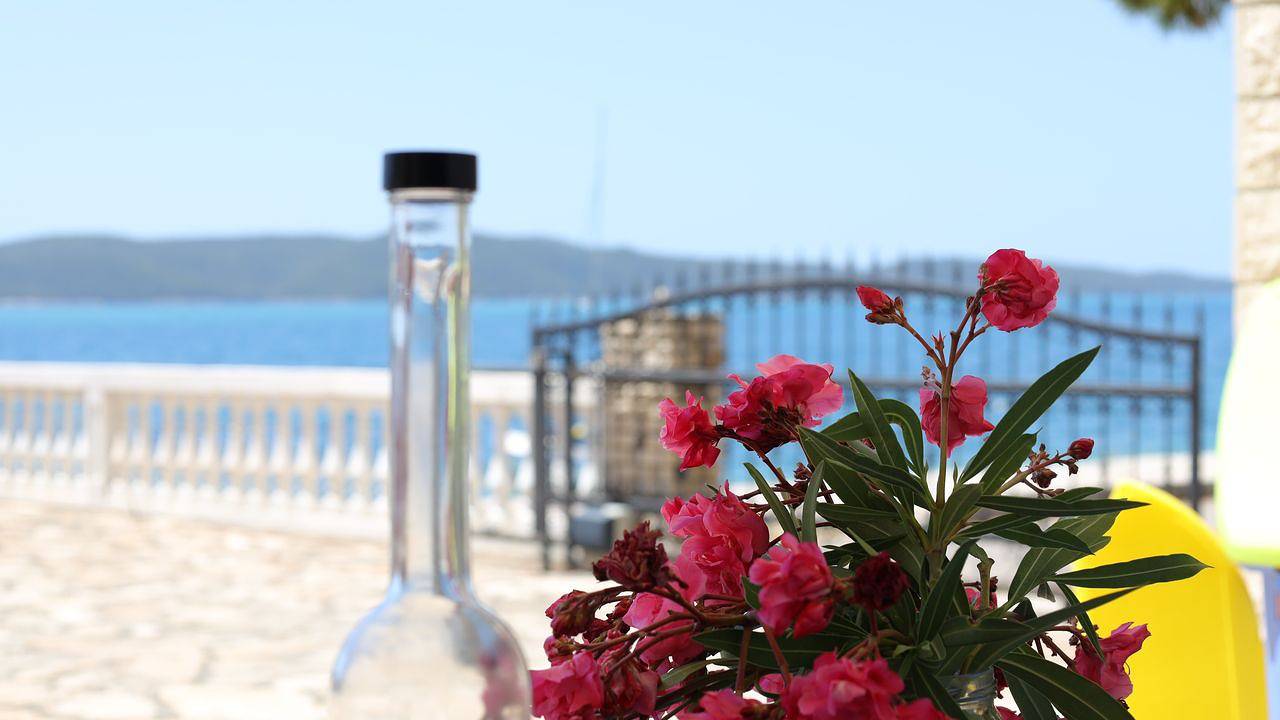 Ganzes Studio, Studio für 2 Personen (37 m²) in Sibenik-Brodarica in Brodarica, Šibenik-Knin