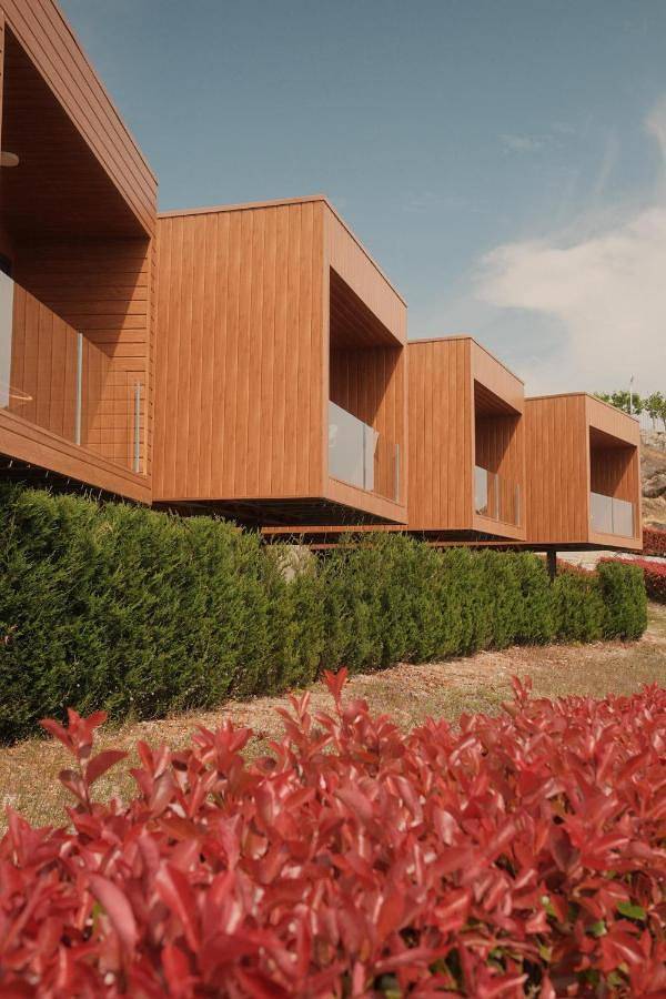 Gîte pour 2 personnes, avec sauna et jacuzzi ainsi que jardin et piscine à Lamego - 3