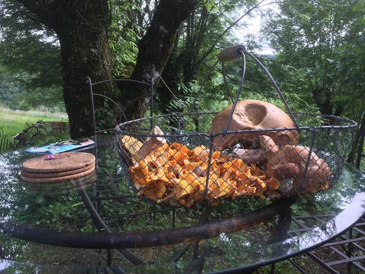Tente pour 6 personnes, avec vue ainsi que terrasse et jardin dans l' Aveyron - 3