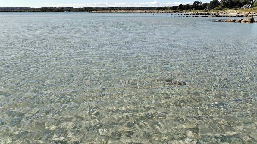 Ferienhaus für 13 Personen, mit Whirlpool und Sauna sowie Terrasse in Lyngsbæk Strand - 2