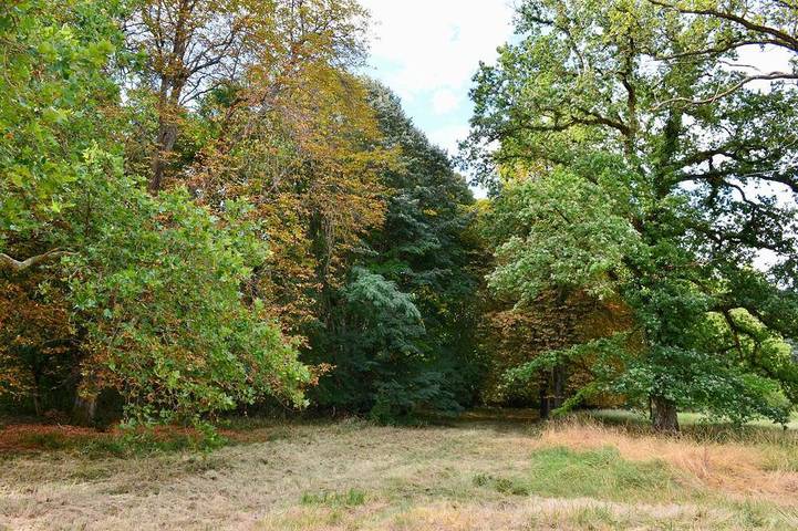 Château pour 20 personnes, avec Jardin dans le Loir-et-Cher