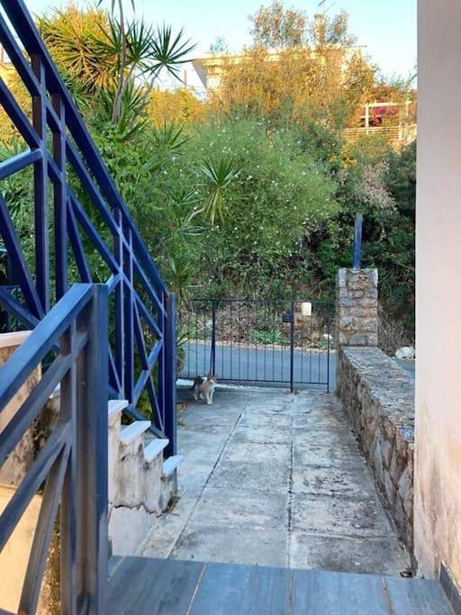 Gîte pour 2 personnes, avec vue et jardin dans Mikra Mandinia - 4