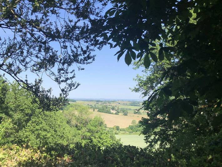 Gîte pour 6 personnes, animaux acceptés à Gaillac - 2