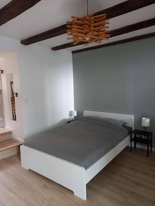 Maison d’hôte pour 4 personnes, avec vue et jardin, animaux acceptés dans Neufchâteau - 4