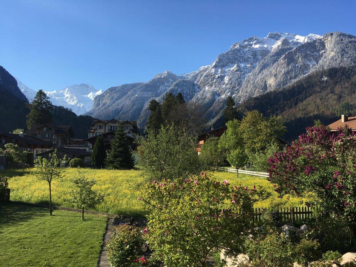 Ganze Wohnung, Holidayapartment Sydach in Wilderswil, Thunersee