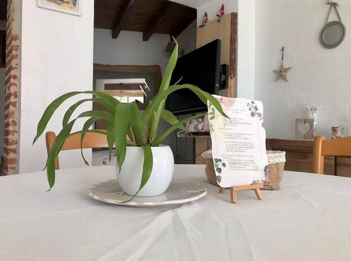 Location de vacances pour 4 personnes, avec terrasse à Fenouillet (Haute-Garonne) - 3