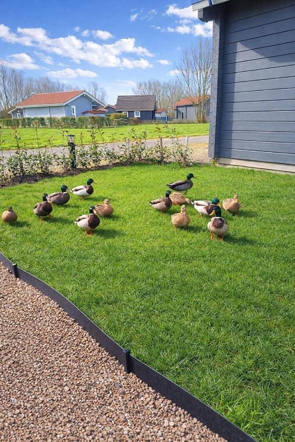 Gîte pour 2 personnes, avec jardin à Bourbourg - 2