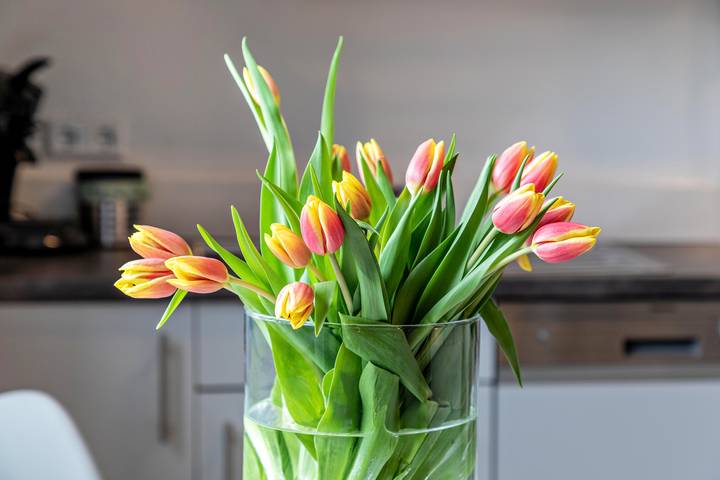 Ferienwohnung für 3 Personen in Münsingen - 2