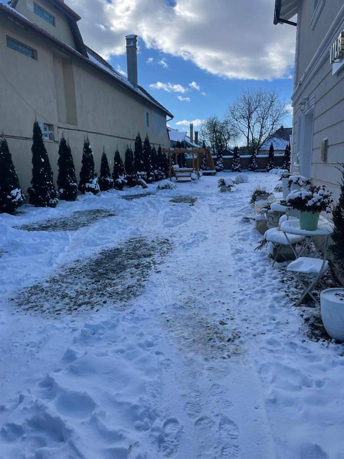 Location de vacances pour 12 personnes, avec jardin et vue, animaux acceptés dans Poiana Brasov - Brasov - 4